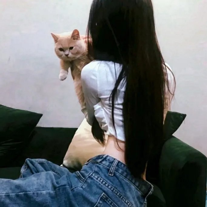 西班牙情事