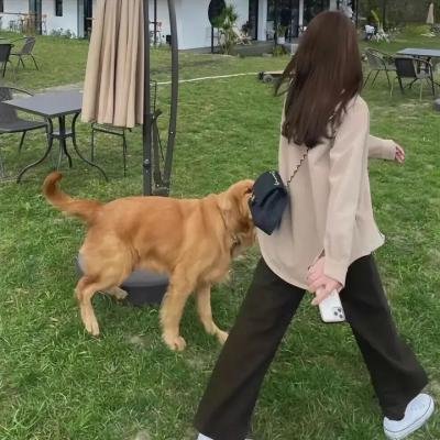 洪荒装叉王